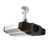 Camera IP Avtech AVI - 201