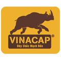 Cáp mạng lan cat 5e vinacap