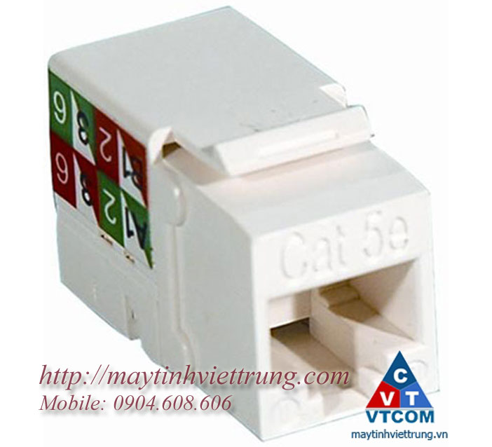 Nhân Wallblate RJ45 AMP