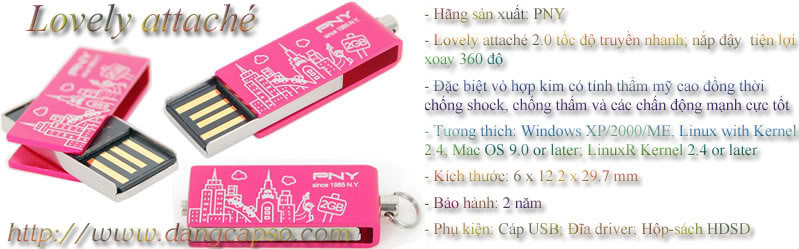 USB PNY 4Gb, USB PNY, USB THOI TRANG PNY 4G, MUA USB PNY 4G GIA RE, USB THỜI TRANG